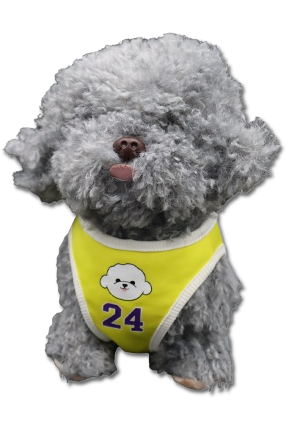 peluche poodle toy
